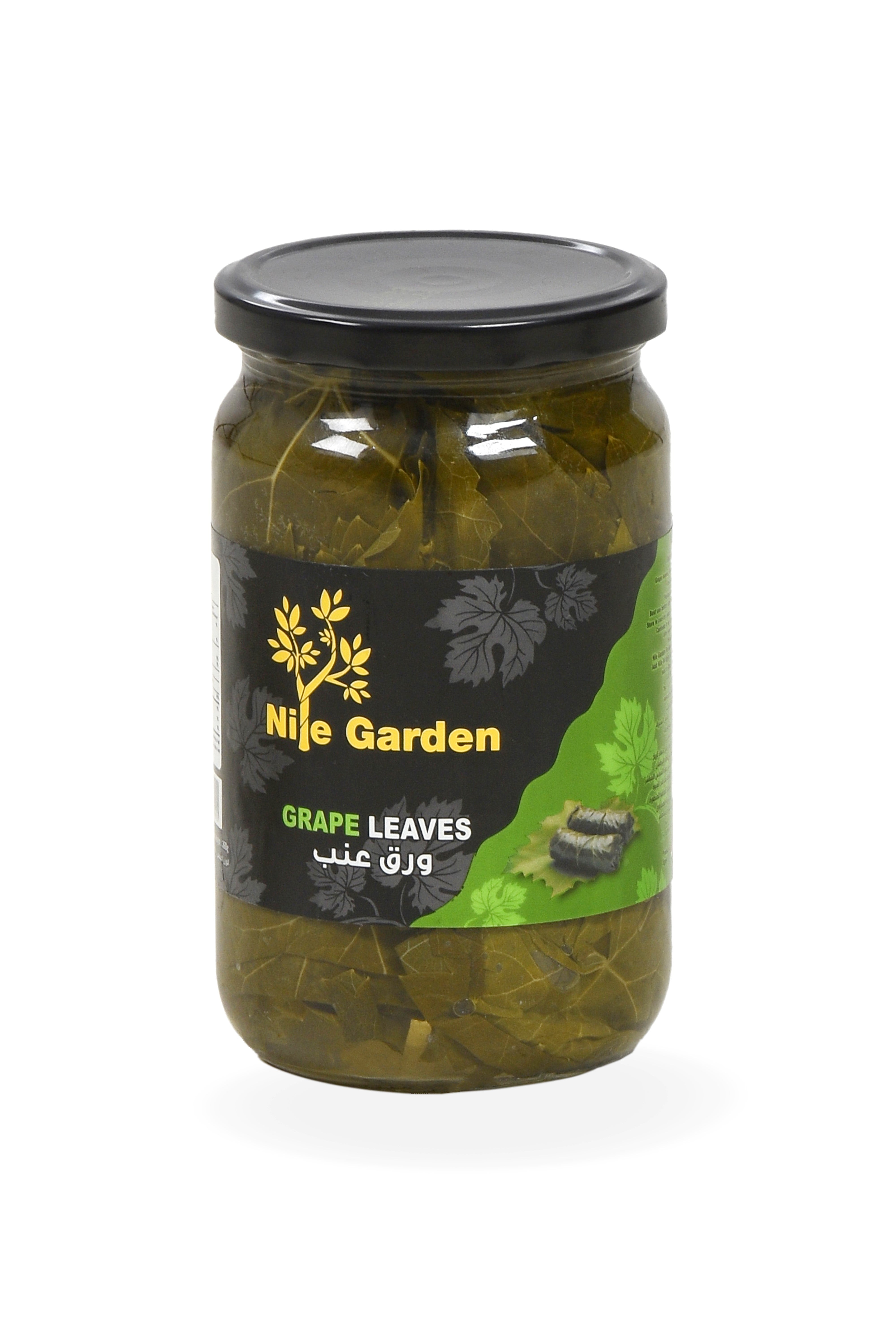 Grape leaves ورق عنب